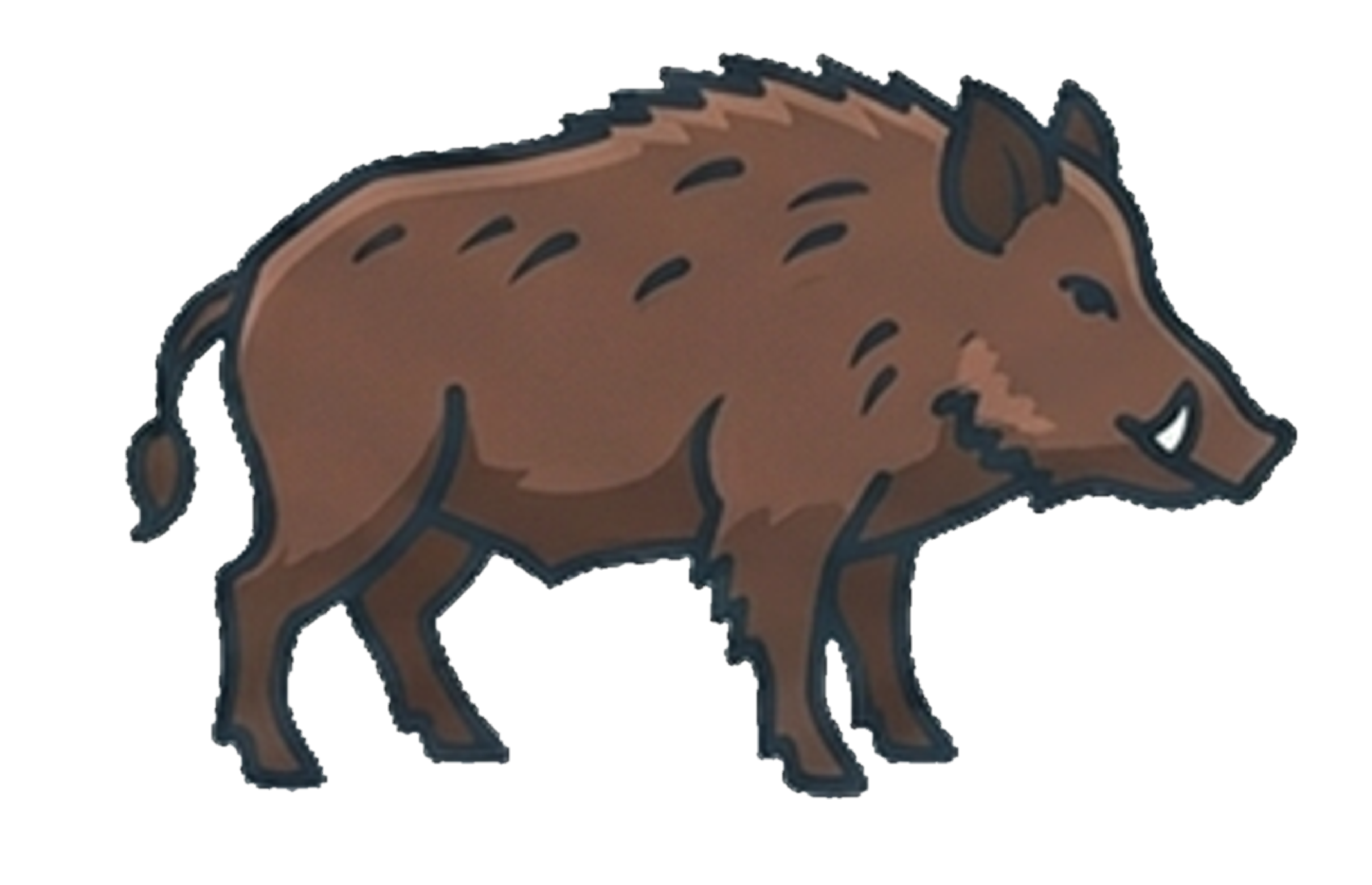 Pig